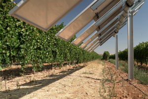 Bodegas González Byass