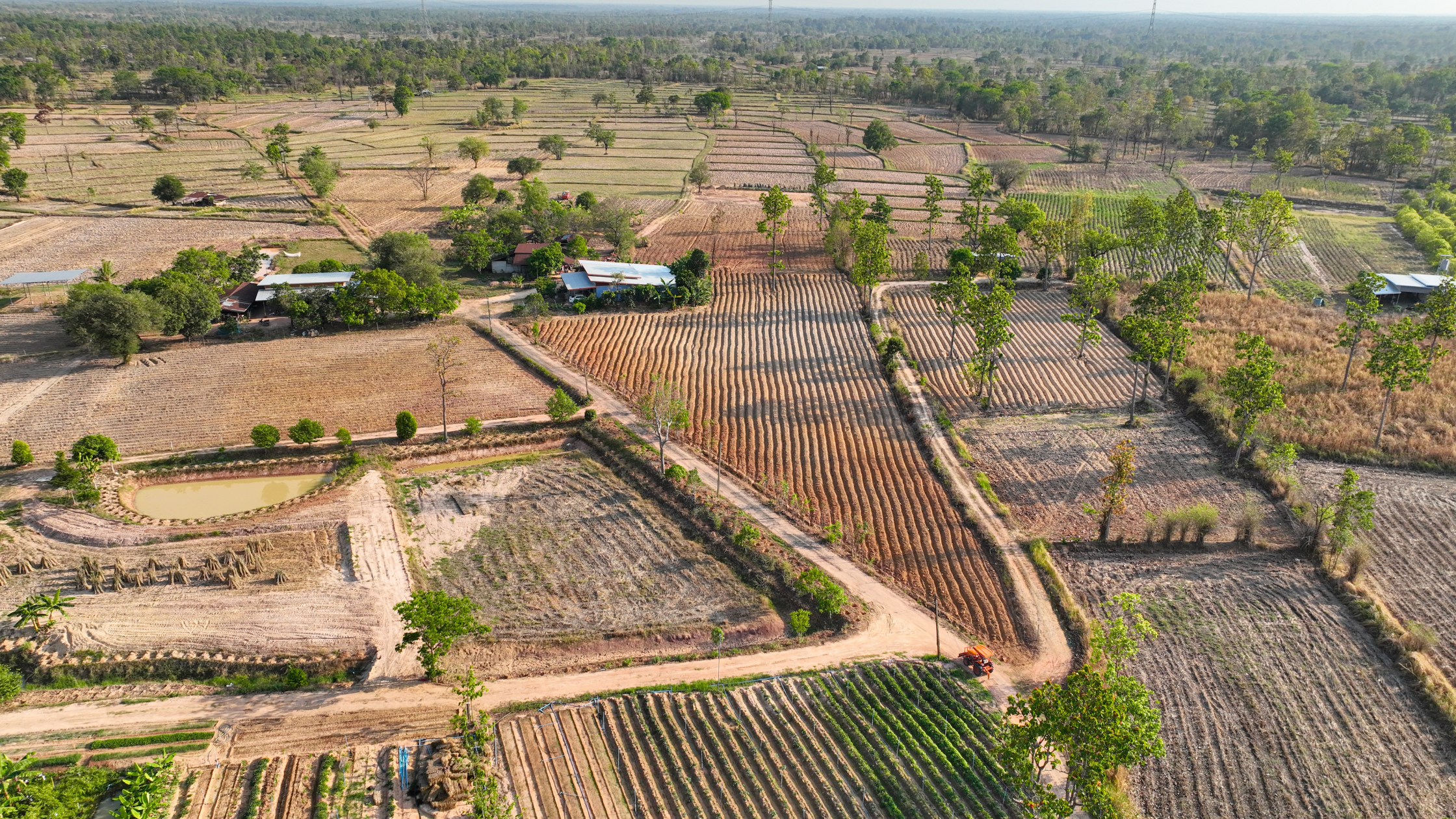 ¿Finca rústica en producción o para transformar?