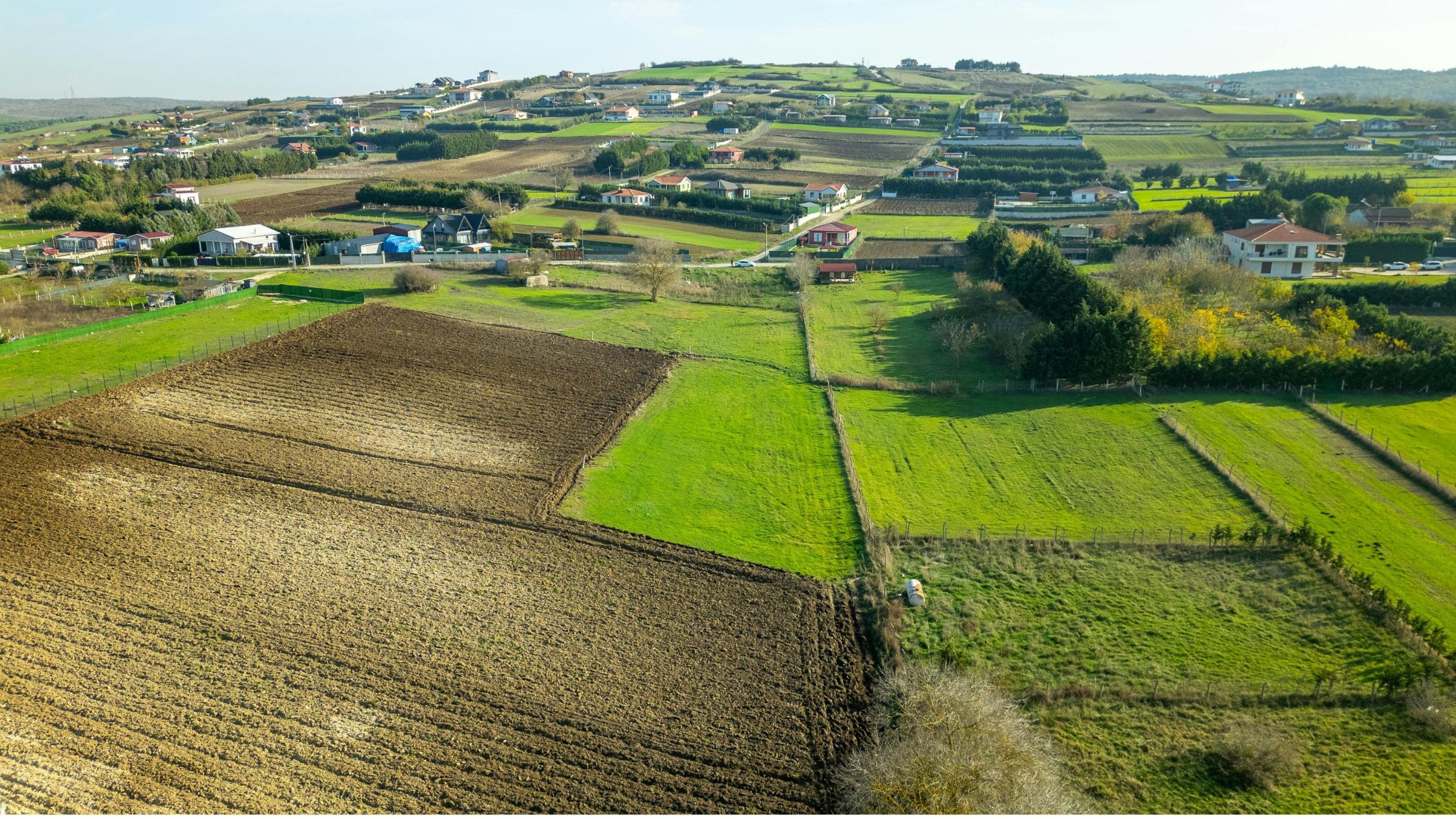 mercado rural