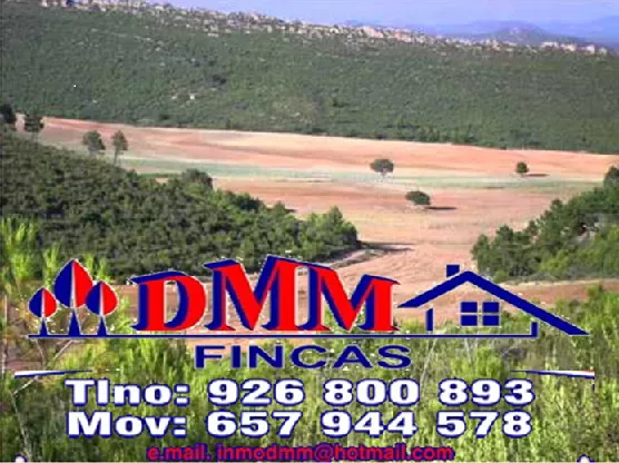 FINCA DE OLIVAR