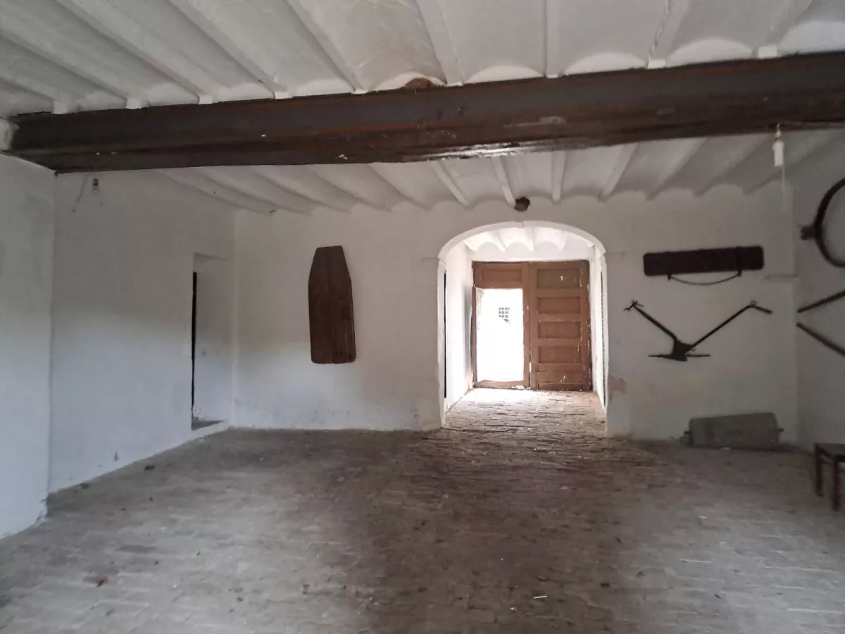 FINCA DE 79,13 HECTAREAS EN TERMINO DE ALTURA