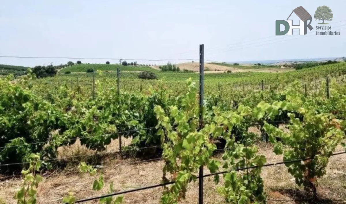 FINCA DE 44 HAS CON BODEGA EN PORTUGAL