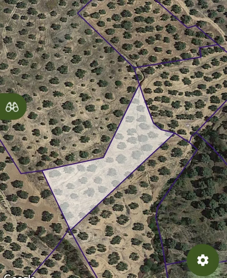 Finca Las Laderas 