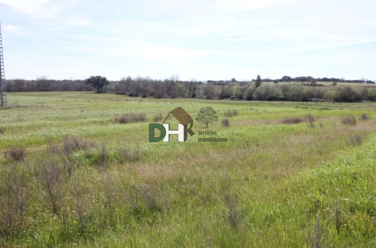 VENTA DE 2 FINCAS DE REGADÍO