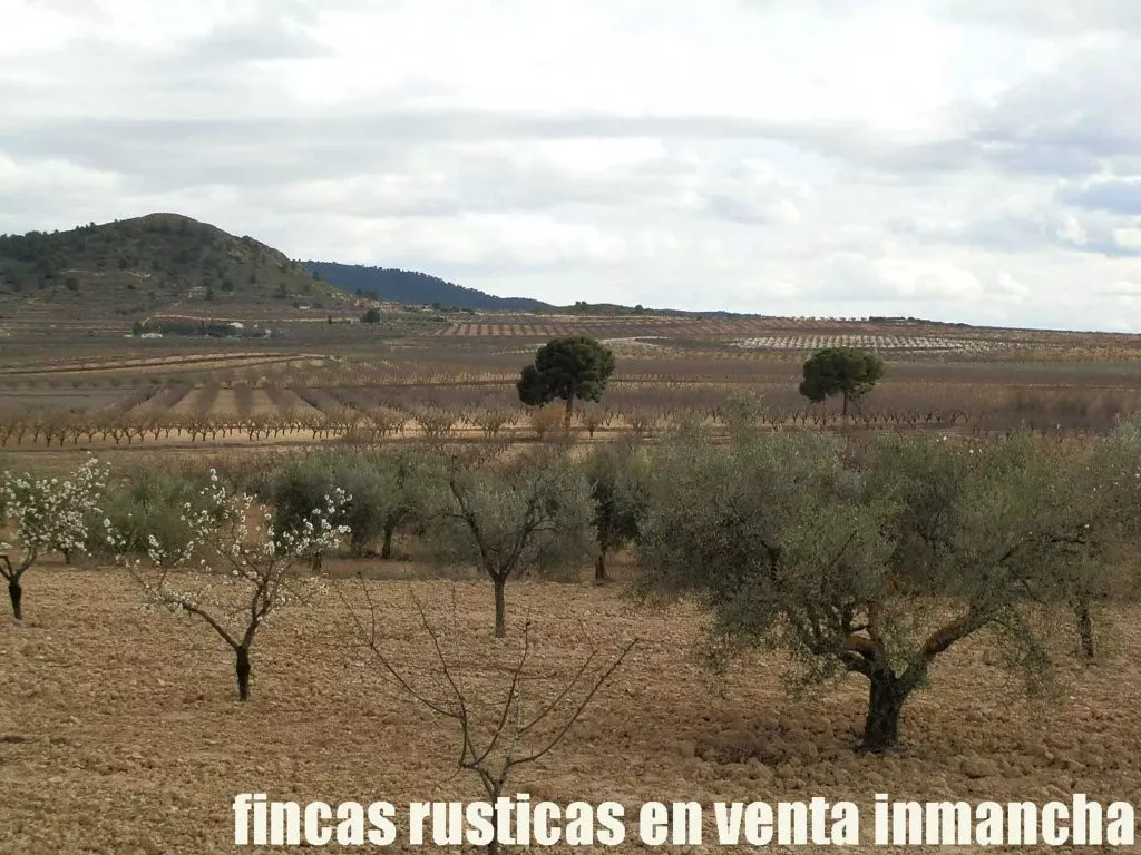 finca en venta 48 has. Almendros secano 