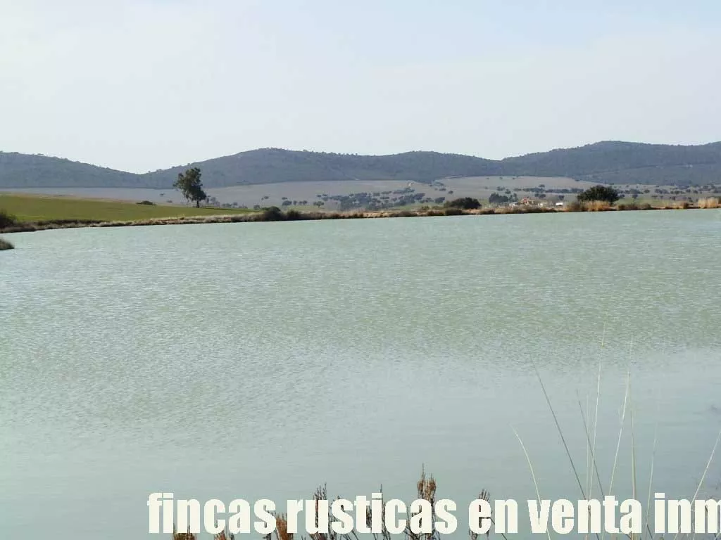 finca venta 525 has. labor secano caza mayor