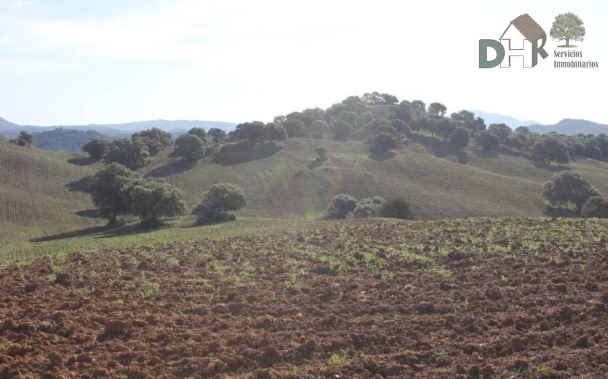 FINCA DE GANADERA Y DE LABOR