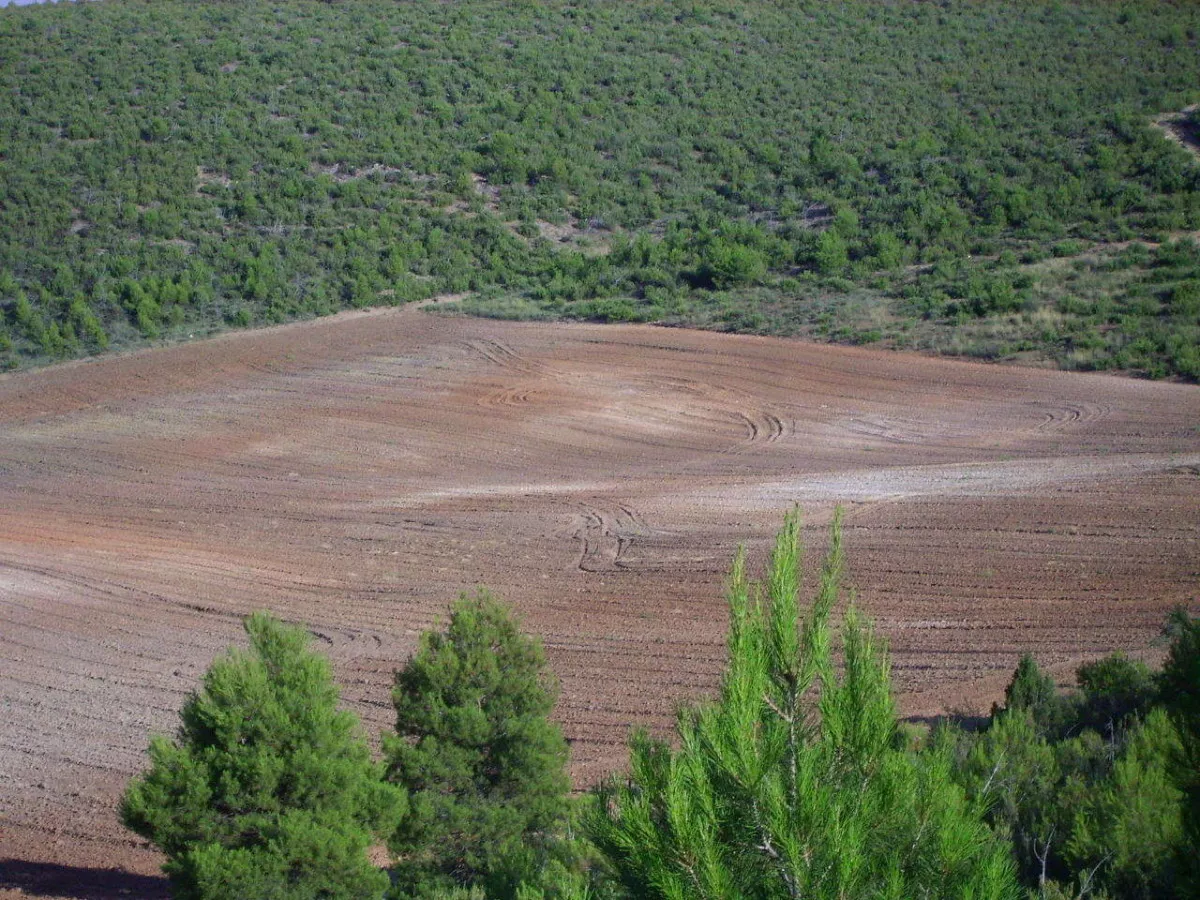 finca en venta inmancha 2.060 has. caza mayor