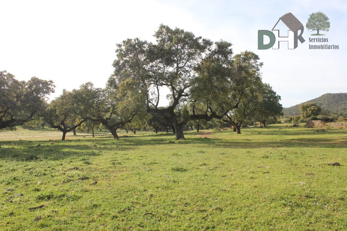 FINCA CORCHERA, GANADERA Y CAZA