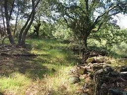 Bonito terreno en Villanueva de la Vera