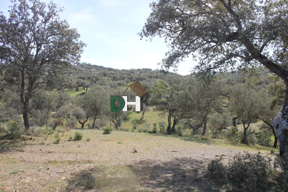 FINCA GANADERA CON REGISTRO PORCINO