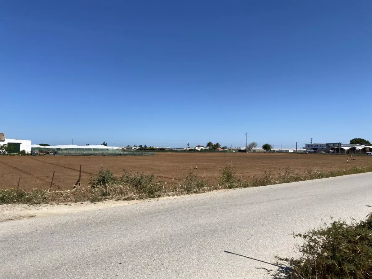 FINCA CHIPIONA 