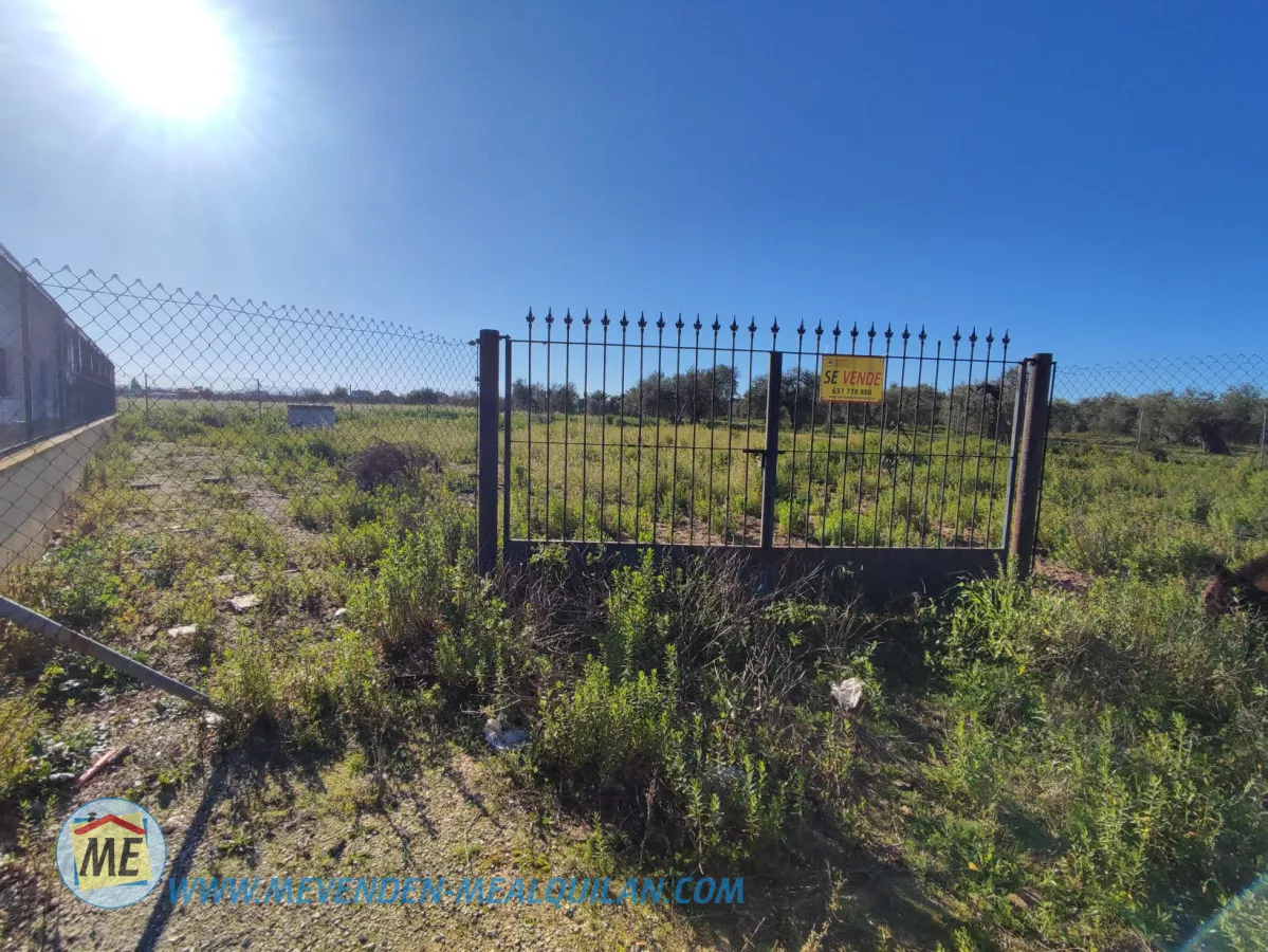 FINCA 18000M2