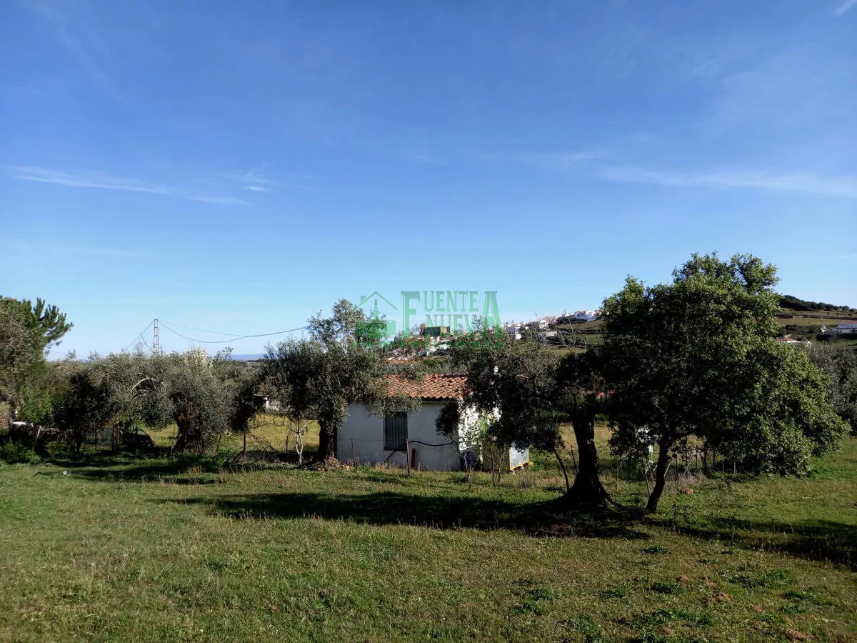 Parcela de Recreo. Ref.220