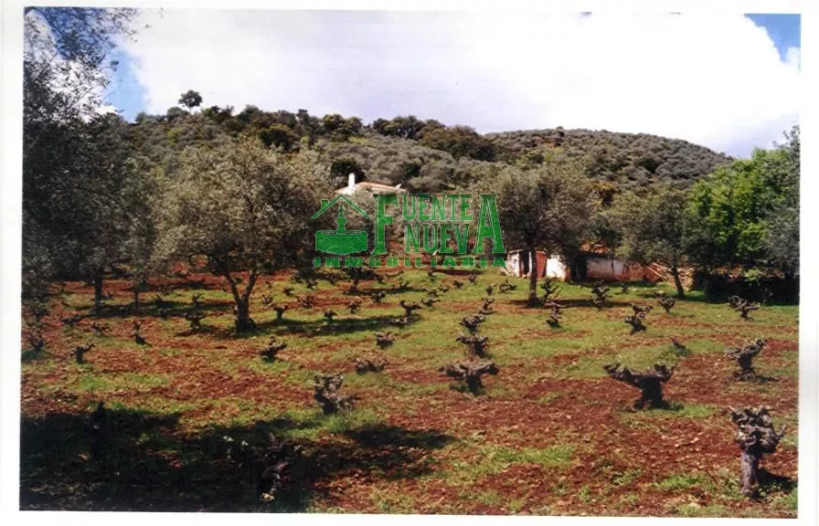 Parcela de Recreo. Ref.123
