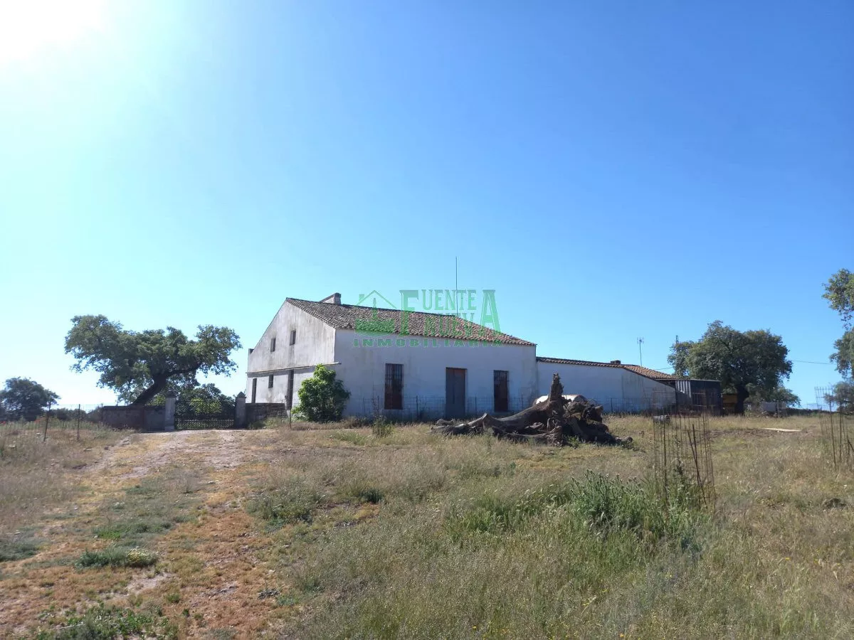Dehesa y olivar