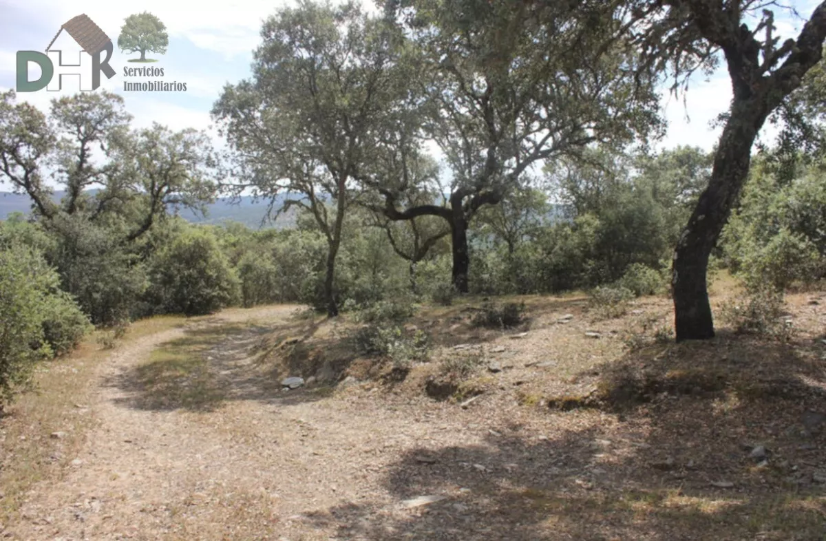 FINCA DE 72 HAS. GANADERA Y CAZA