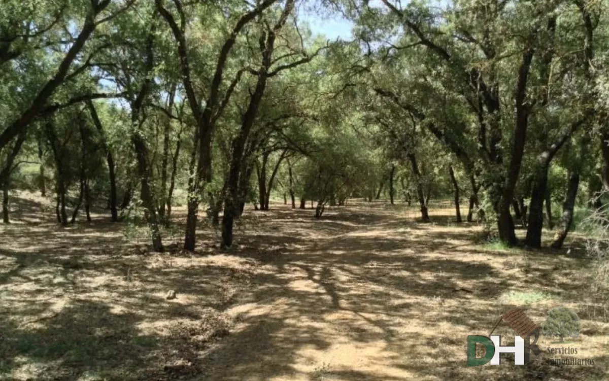 EXTRAORDINARIA FINCA EN CIUDAD REAL.