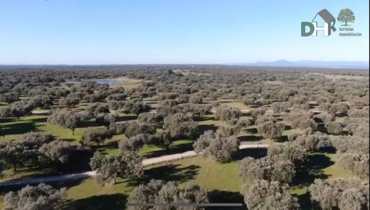 EXTRAORDINARIA FINCA GANADERA
