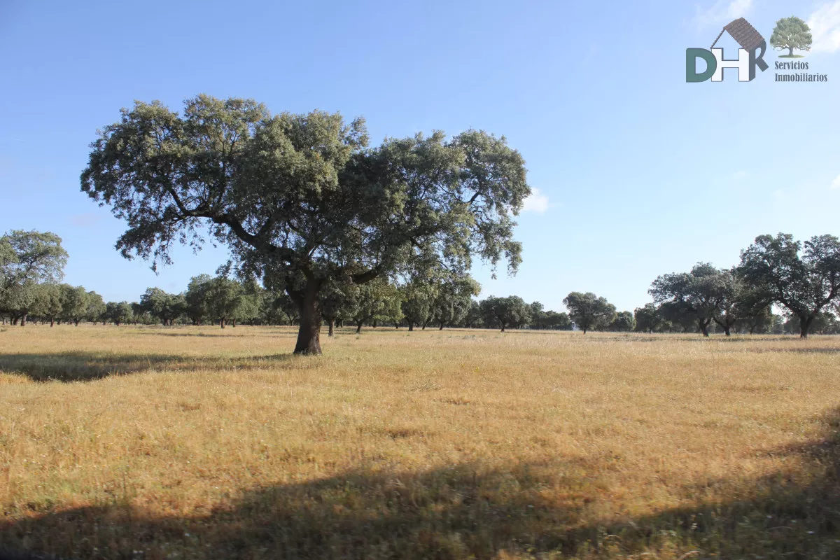 FINCA DE REGADÍO, LABOR Y GANADERA