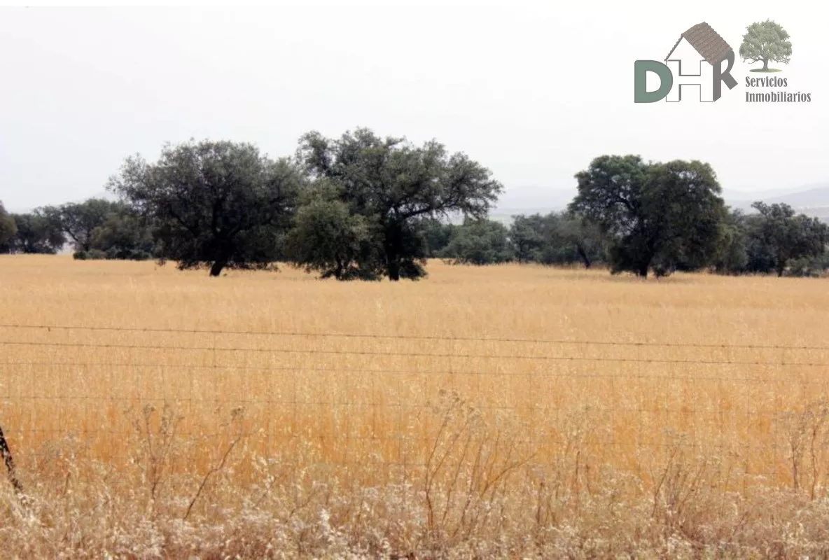 FINCA MUY GANADERA EN EXPLOTACIÓN DE COCHINOS