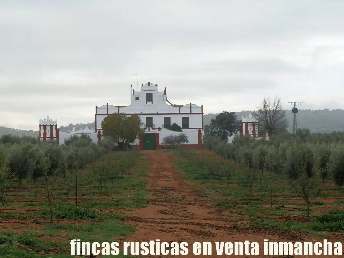 finca en venta 41 has. olivar riego caserío
