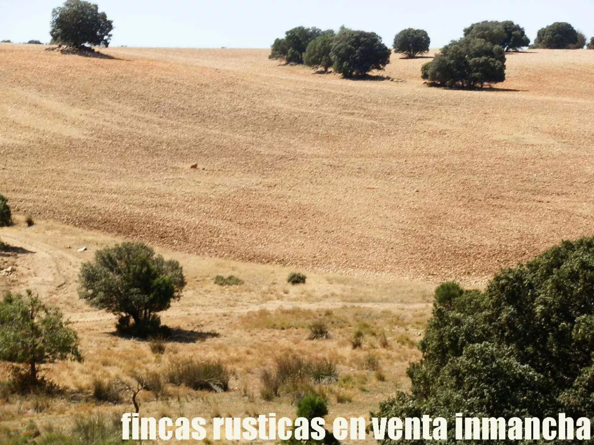 finca en venta 540 has. labor secano caza 