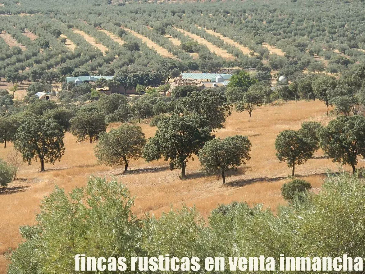 finca venta 140 has. labor secano ganadera 