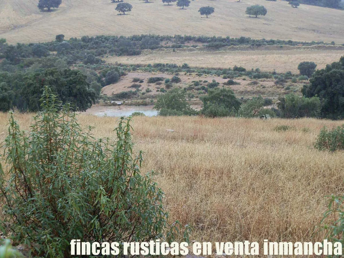 finca en venta 63 has. labor secano caza 