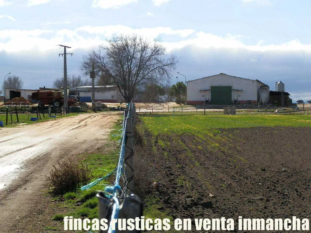 finca en venta 150 has. labor secano Almendro