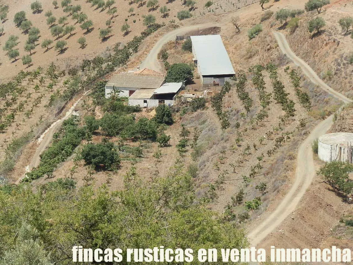 finca en venta 25 has. Mango almendros olivo 