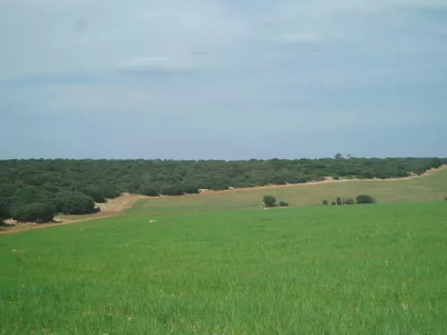 finca en venta 600 has. labor secano caza
