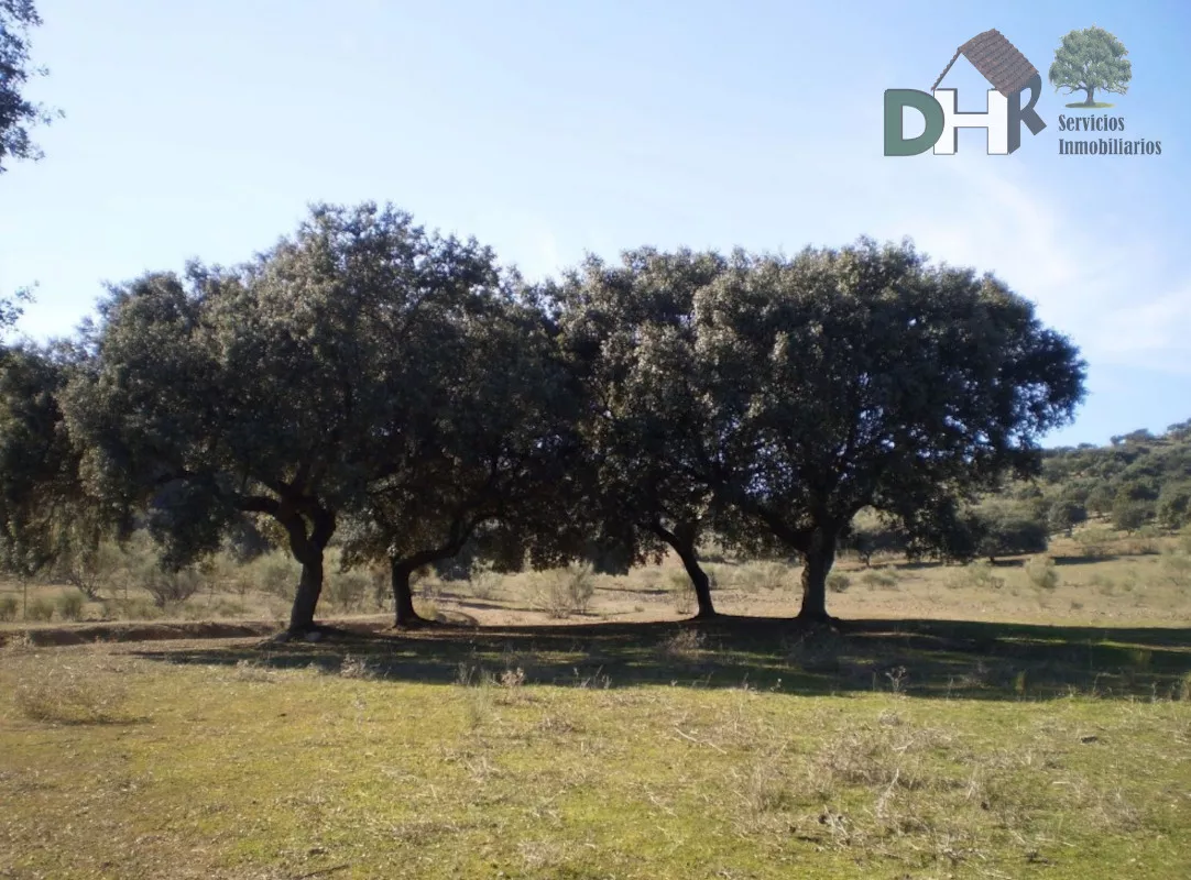 FINCA MIXTA GANADERA Y CAZA
