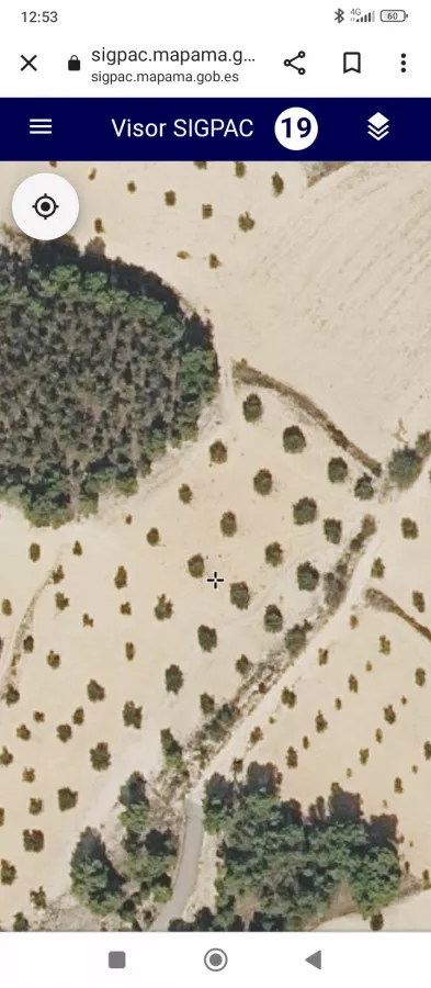 SE VENDE OLIVAR A-IV - KM 58 OCAÑA