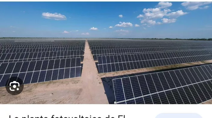 arrendamos para placas solares y remolacha 
