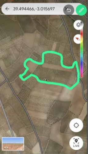 Viñedo - Bobal (3,35 ha) y Airén (2,68 ha)