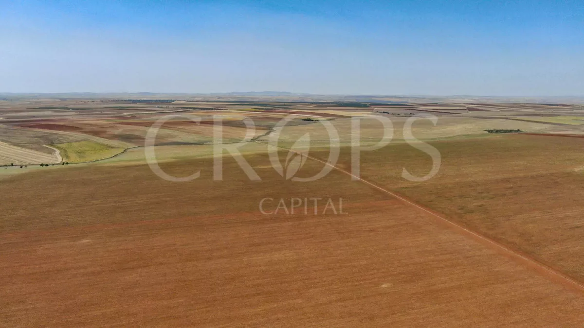 Finca 100% agrícola en Badajoz
