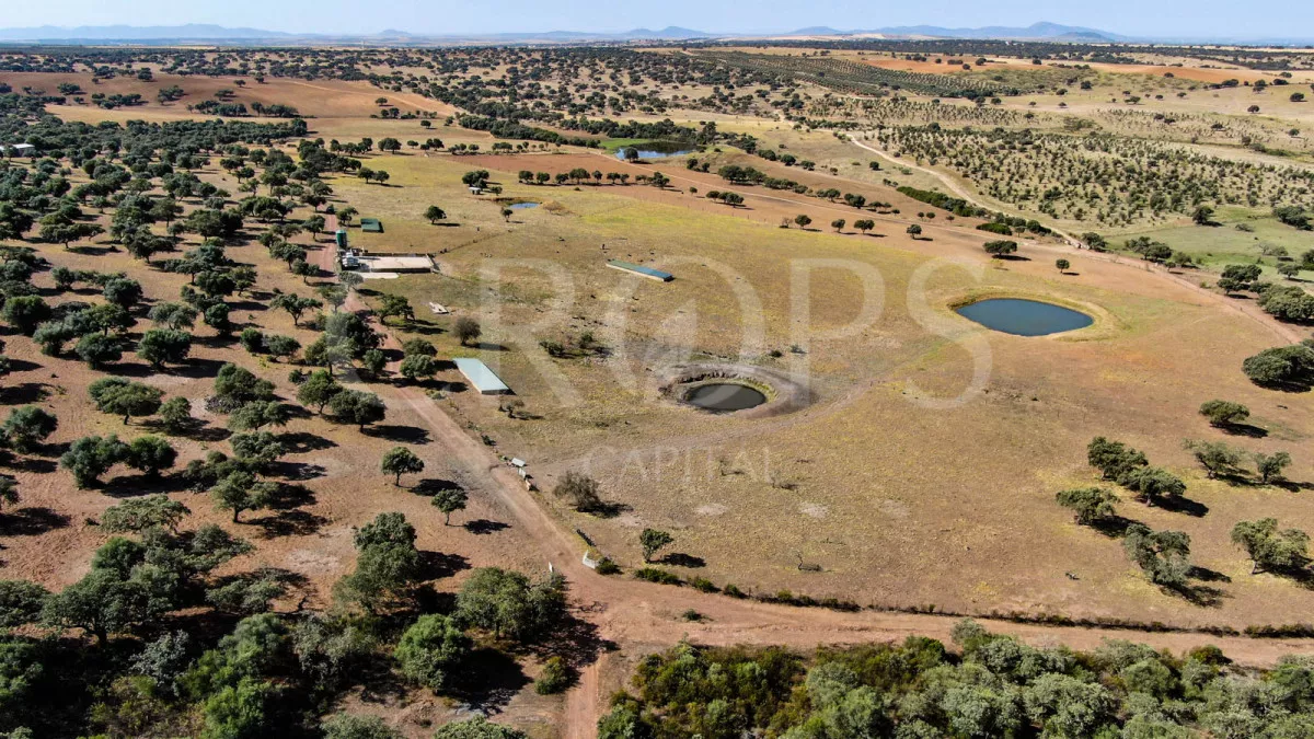 Finca agrícola y ganadera en el norte de Bada