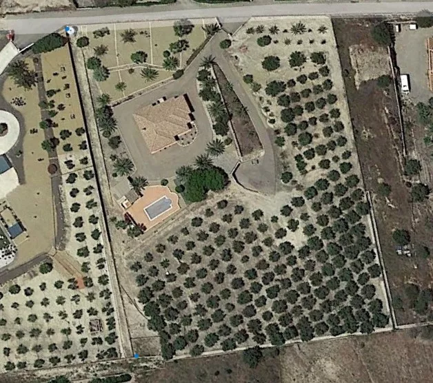 Huerto de olivos y chalet en zona de playa