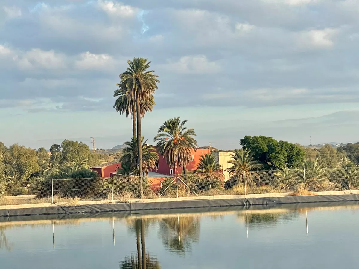 Finca  agricola de regadío a 6 km de playa