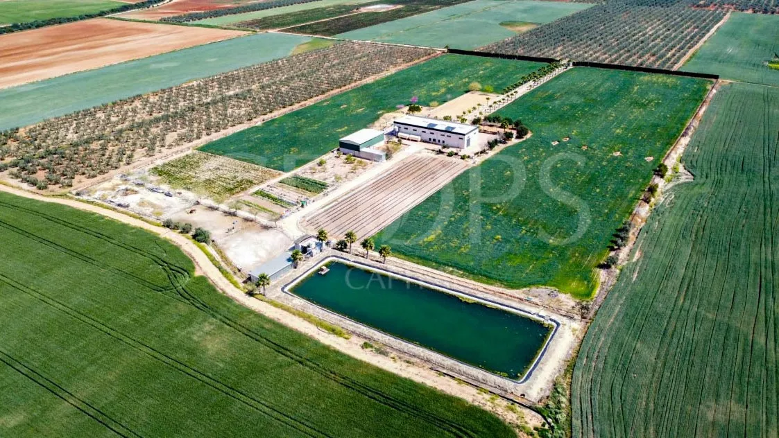 Finca ecuestre con vivienda cerca de Sevilla 