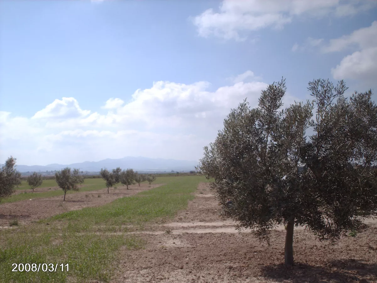 Terreno rustico en Alhama