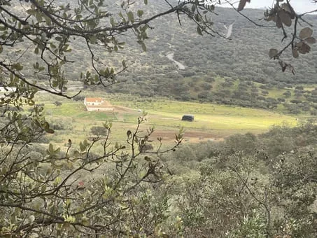 Finca mixta cinegética ganadera Badajoz