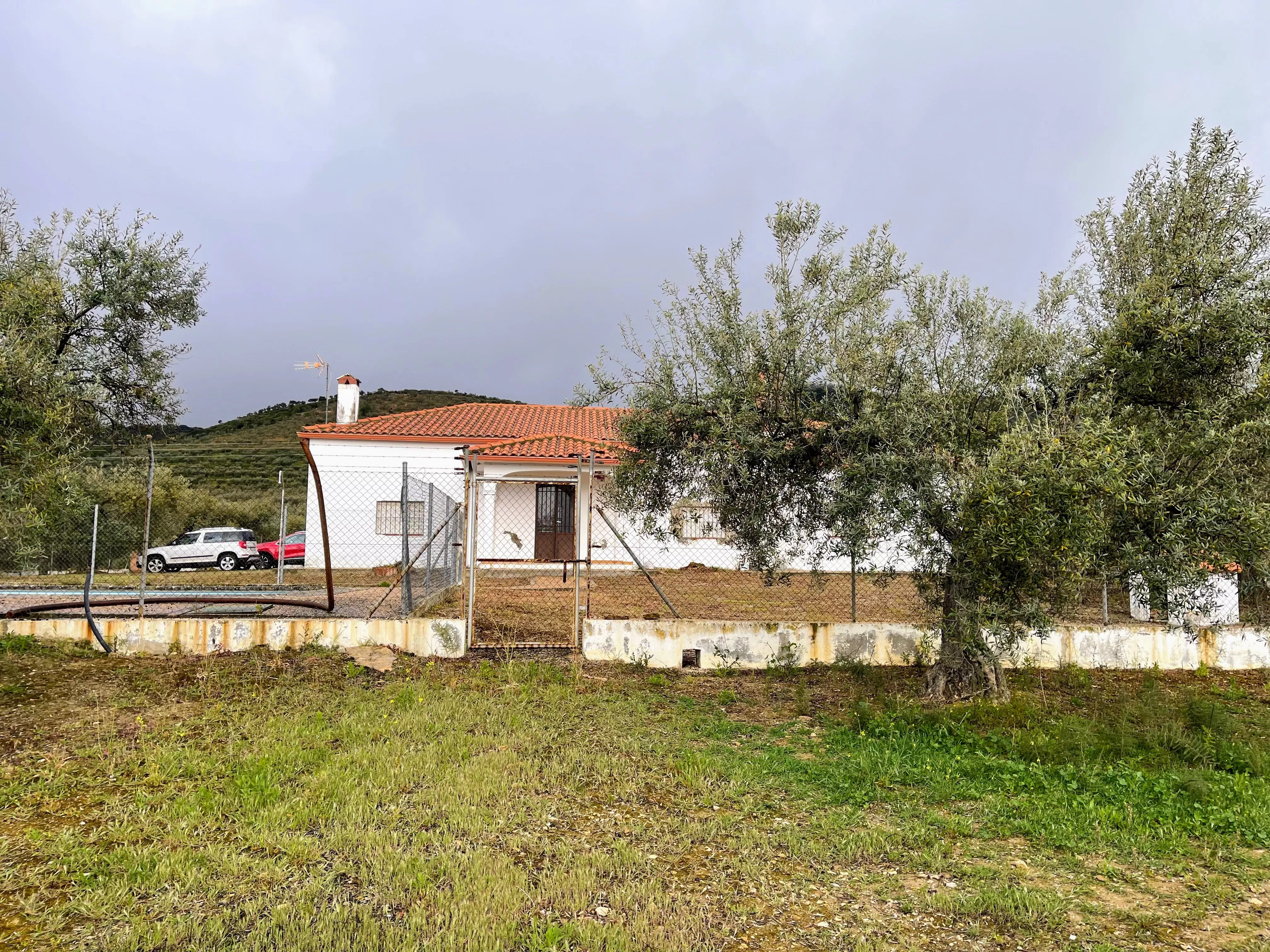 Finca de olivos con chalet