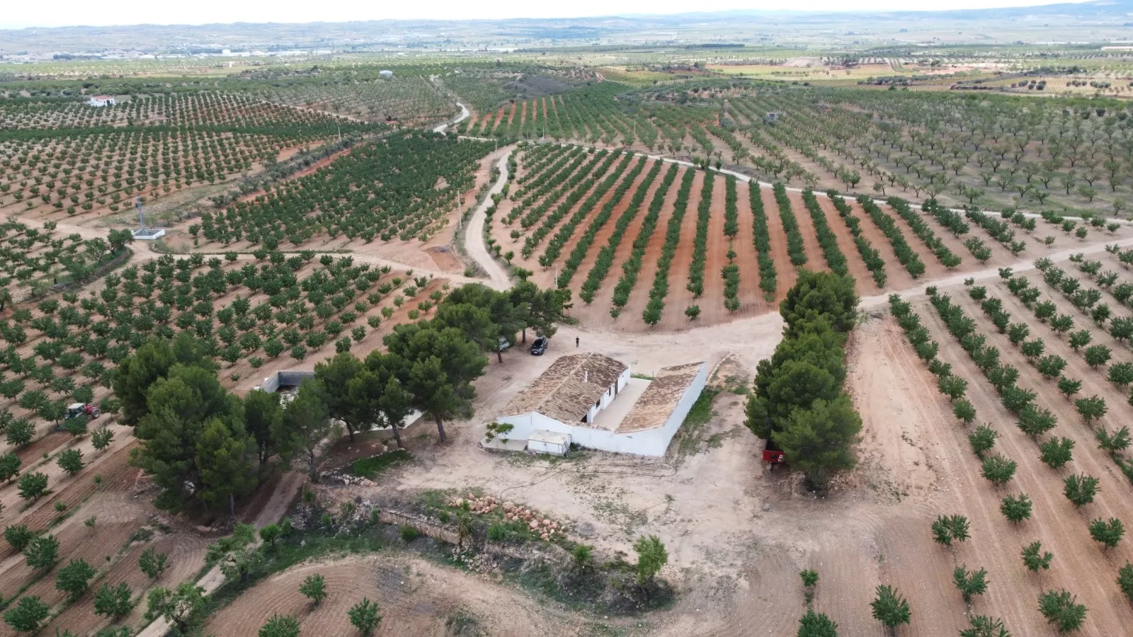 Finca de almendros con certific. ecológica