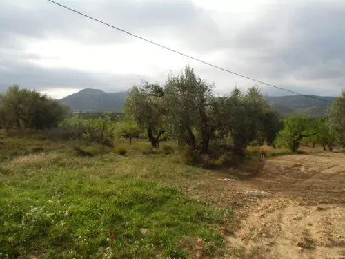 Finca de labor en Albocàsser
