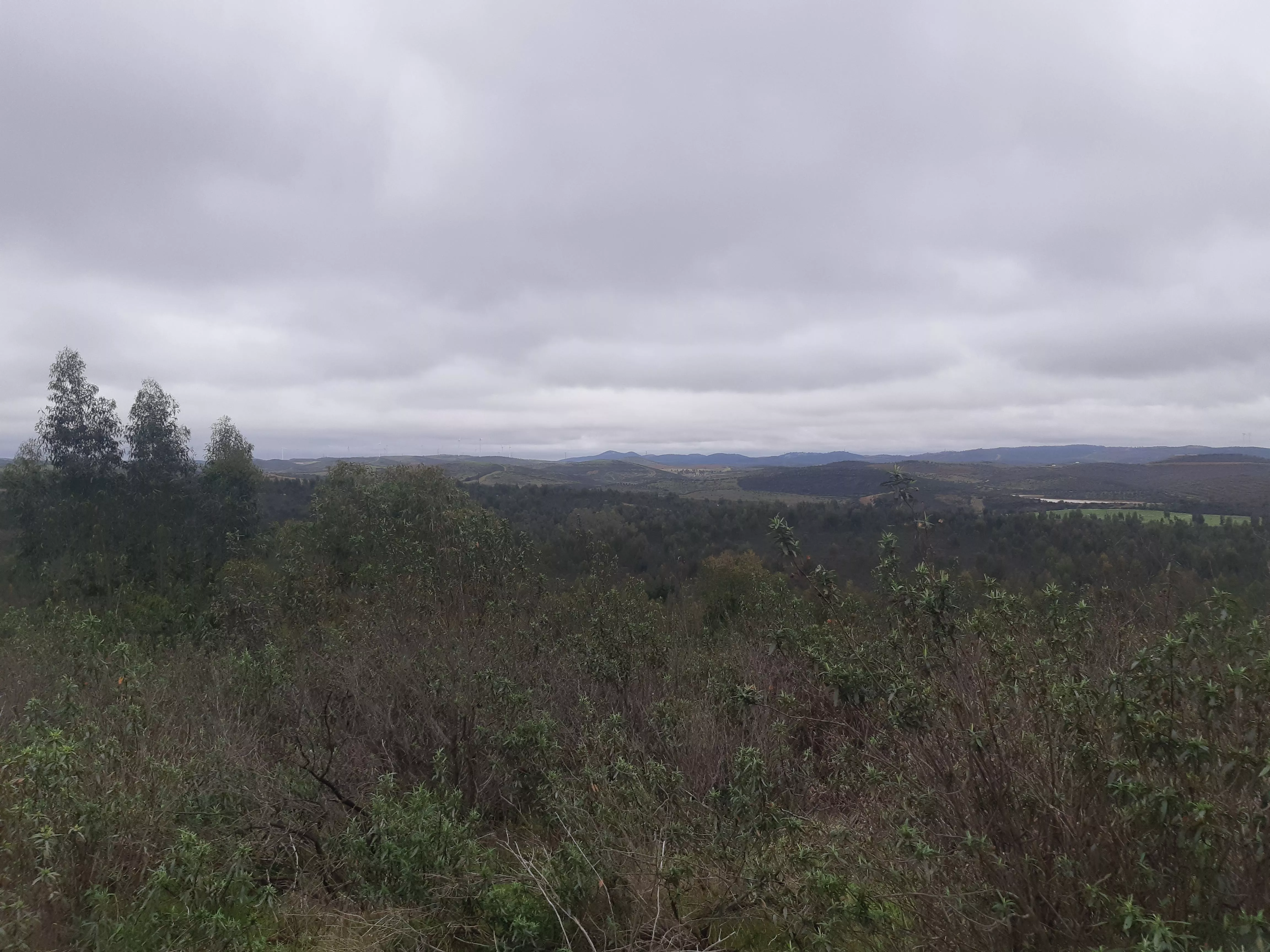 Finca Huelva 150 ha brutas