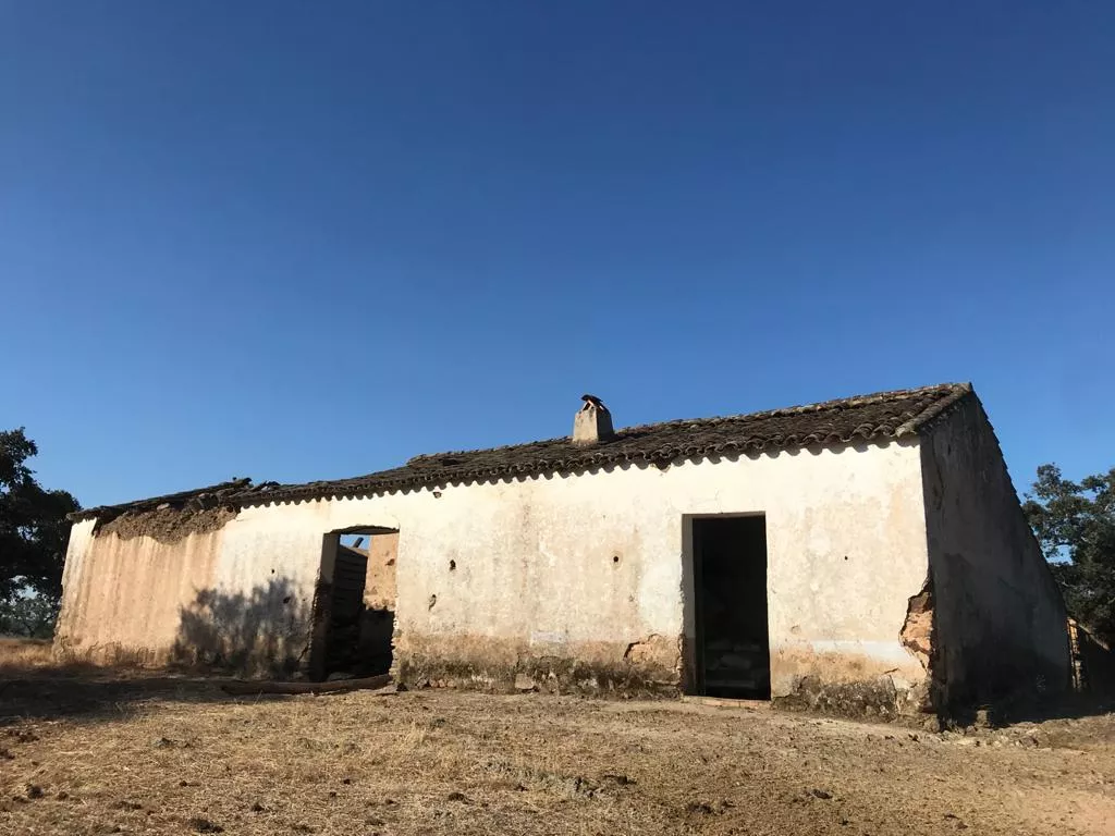 Se vende maravillosa finca de 18 hectáreas. PARQUE NATURAL SIERRA DE ARACENA Y PICOS DE AROCHE