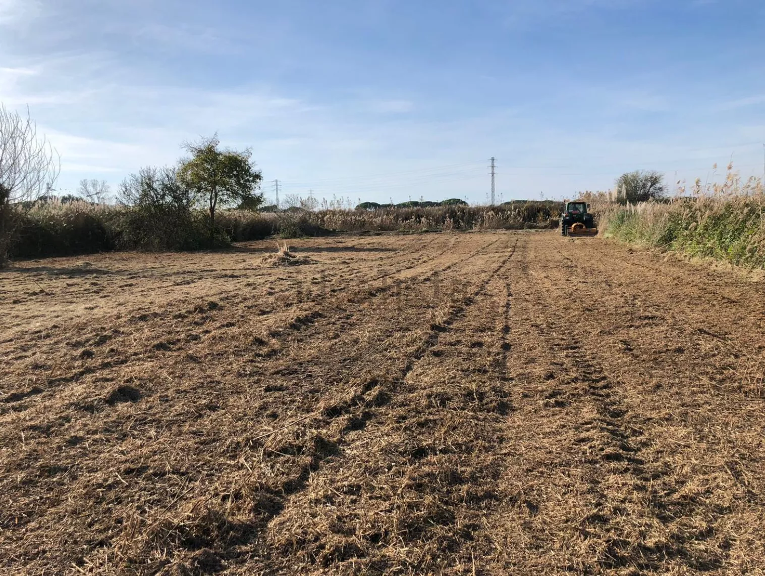 Terreno en venta en camino dels Llanossos, km 14