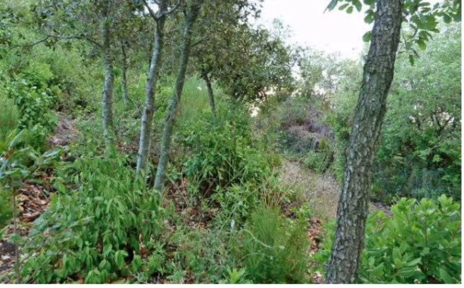 Terreno en venta en calle Turó del Fumet s/n